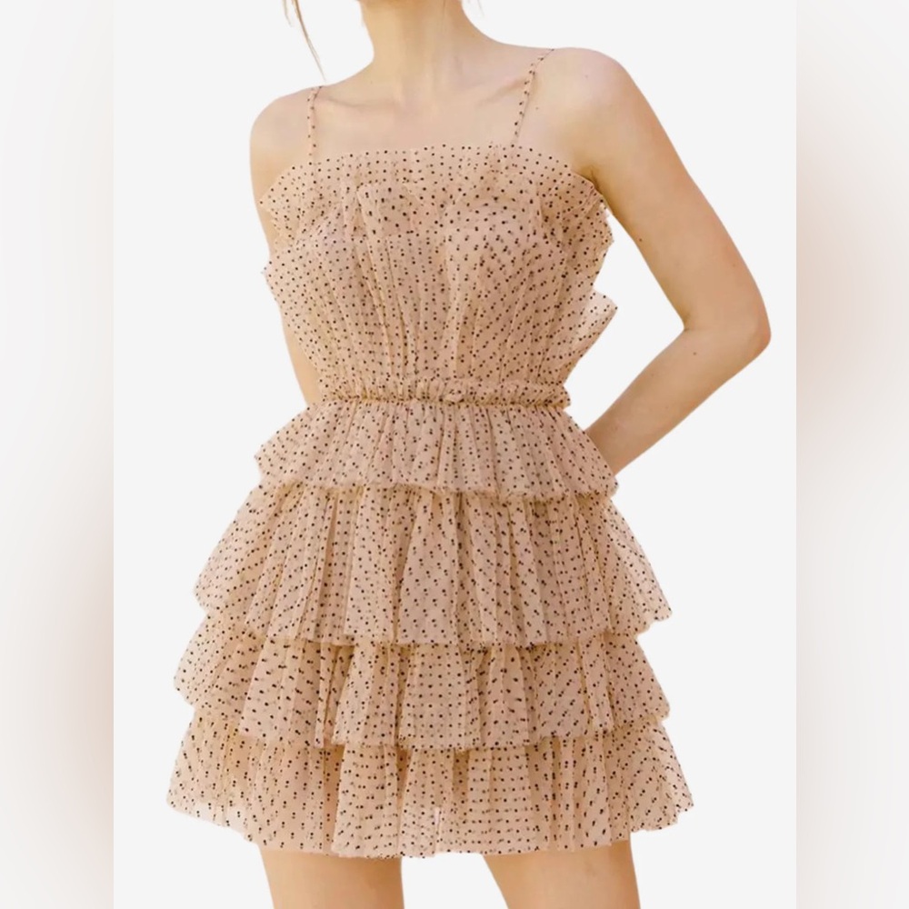 NWT Ruffle Polka Dot Tulle Tiered Mini Dress